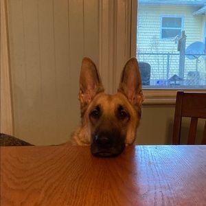 Meet your Posher, Sharon